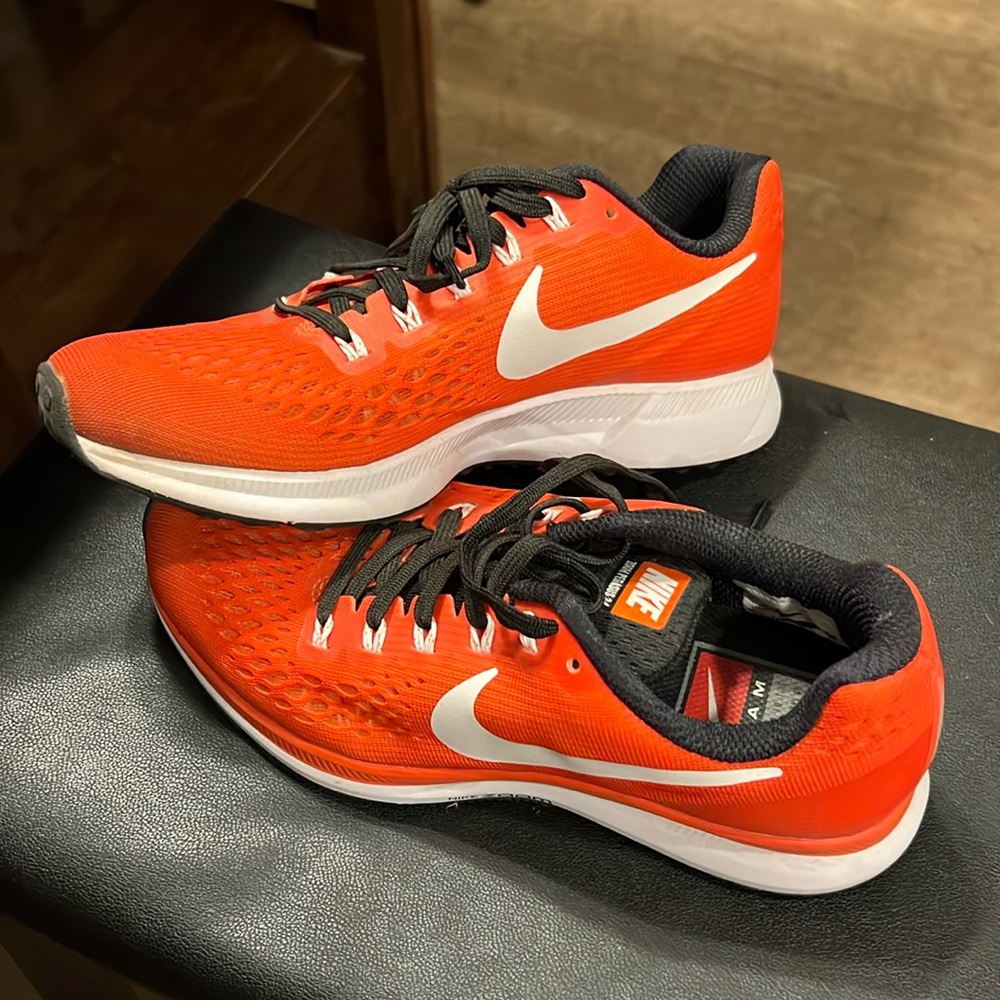 Nike Pegasus 34 U. Of Illinois